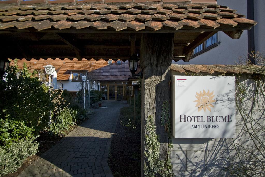 Hotel Blume Фрайбург-у-Брайсгау Екстер'єр фото